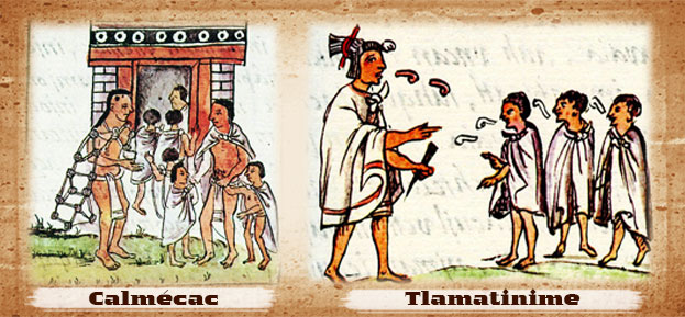 LA EDUCACIÓN PRIVADA EN MÉXICO I_1